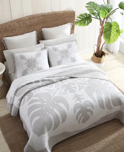 Tommy Bahama Home Molokai Embroidered Sham, King In Gray