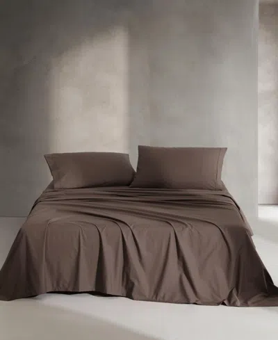 Calvin Klein Washed 200-thread Count Cotton 3-pc. Sheet Set, Twin Xl In Brown