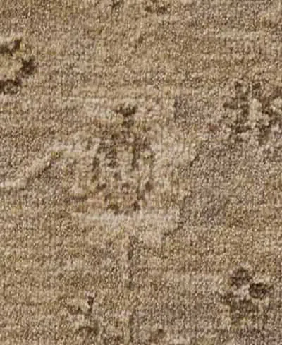 Loloi Willa Wia-02 7'10"x10' Area Rug