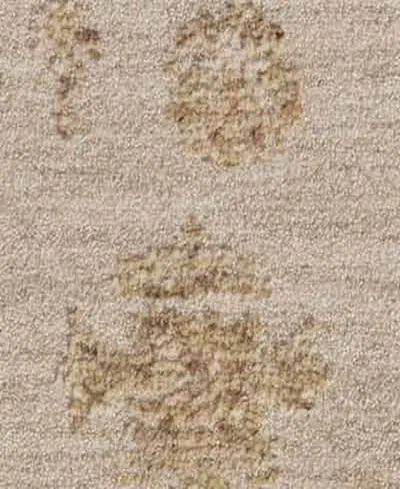 Loloi Willa Wia-07 7'10"x10' Area Rug