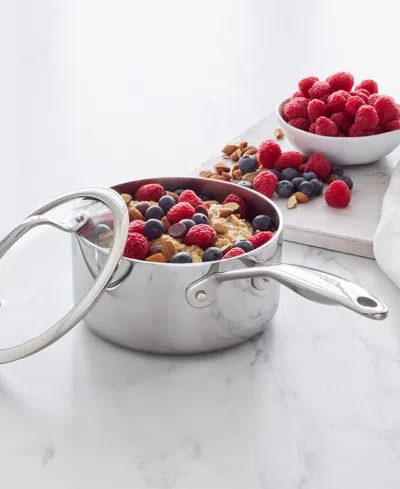 Greenpan Valencia Pro Stainless Steel Uncoated 1.6-quart Saucepan With Lid In Gray