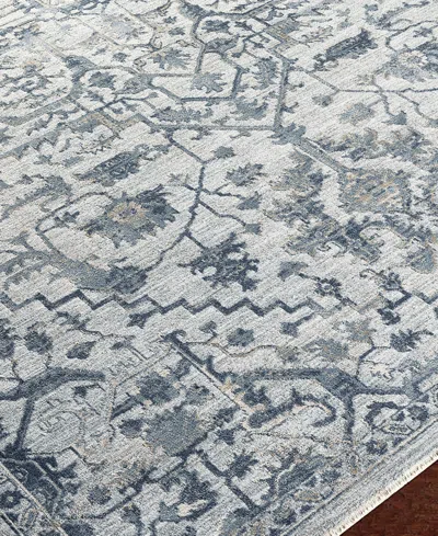 Livabliss Brunswick Bwk-2310 2'7" X 10' Runner Area Rug In Gray