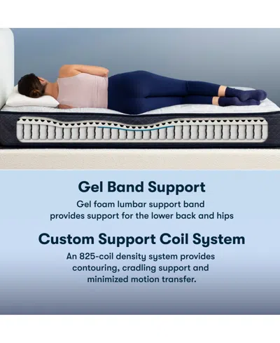 Serta Perfect Sleeper Adoring Night 10.5" Plush Mattress-twin Xl In Transparent