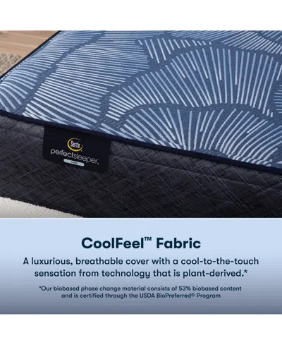 Serta Perfect Sleeper Euphoric Nights 14" Plush Hybrid Mattress, California King In Transparent