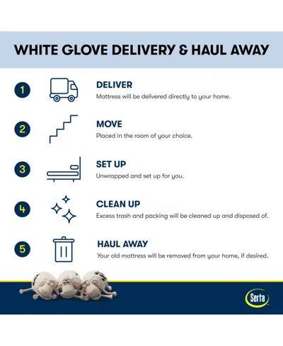 Serta Perfect Sleeper Blue Lagoon Night 14" Plush Pillow Top Mattress Set, Queen Split In Transparent