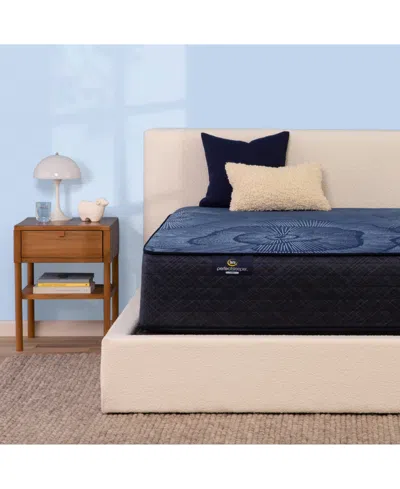 Serta Perfect Sleeper Euphoric Nights 14" Firm Hybrid Mattress Set, Queen In Transparent