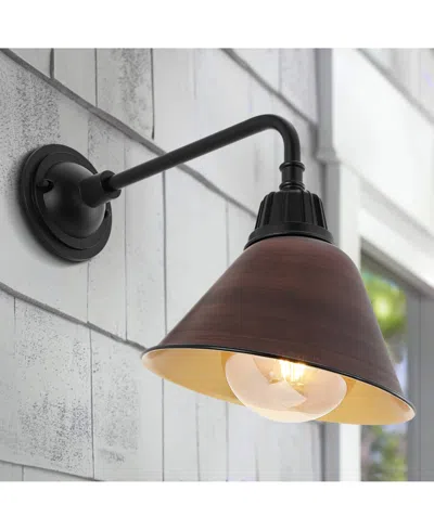 Jonathan Y Croydon 9.63" 1-light Farmhouse Industrial Indoor, Outdoor Iron Led Gooseneck Arm Outdoor Sconce