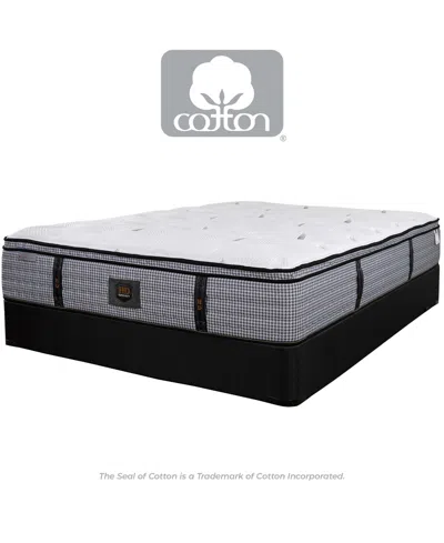 Paramount Hd Maximus 13" Cushion Firm Mattress In Transparent