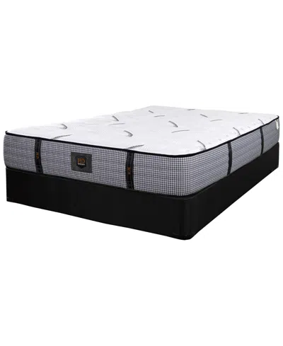 Paramount Hd Granite 11" Extra Firm Mattress Set In Transparent
