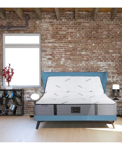 Paramount Hd Granite 11" Extra Firm Mattress Set In Transparent