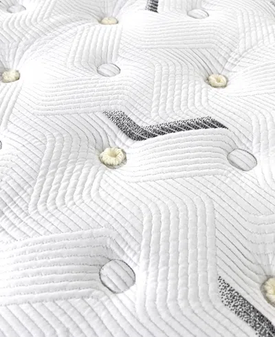 Paramount Hd Encore 12" Plush Mattress Set In Transparent