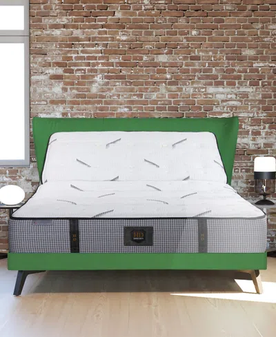 Paramount Hd Encore 12" Plush Mattress Set In Transparent