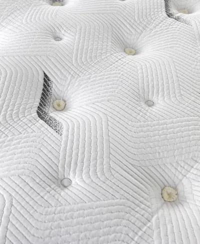 Paramount Hd Maximus 13" Cushion Firm Mattress Set In Transparent