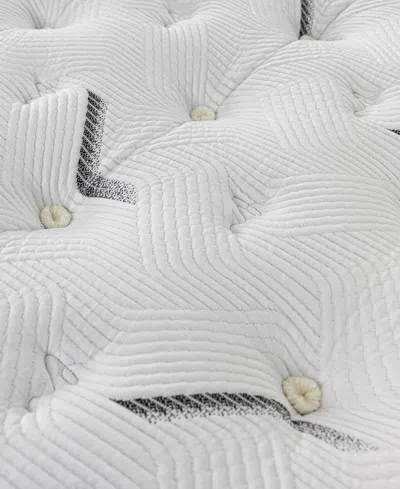 Paramount Hd Superior 15" Plush Mattress Set In Transparent