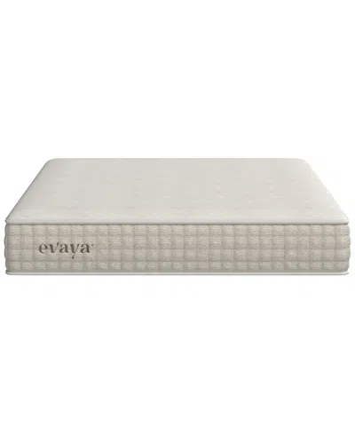 12park Evaya 11" Cushion Firm Mattress In A Box In Transparent