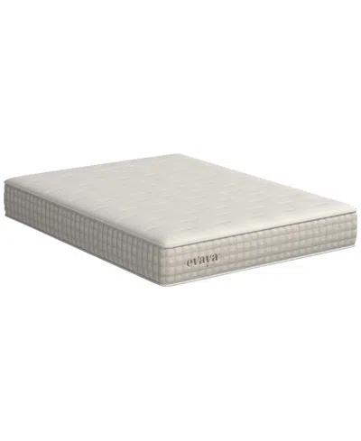 12park Evaya 11" Cushion Firm Mattress In A Box In Transparent