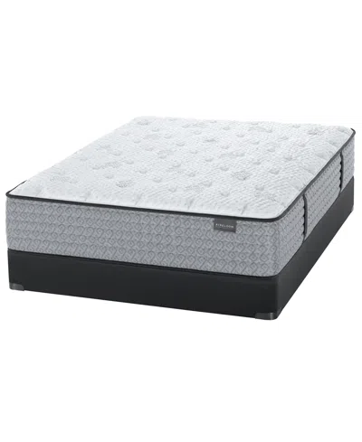 Aireloom Hybrid 13.75" Luxury Firm Mattress Set-twin Xl In Transparent