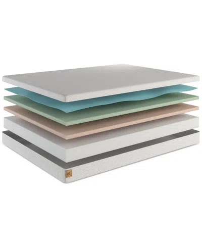 Hollywood Bed 5 Little Monkeys Original Memory Foam Mattress- Twin In Transparent