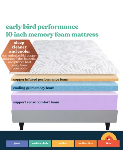 Corsicana Early Bird 10" Firm Mattress In Transparent