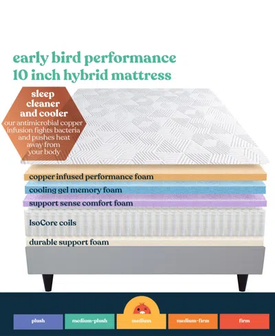 Corsicana Early Bird 10" Medium Mattress In Transparent