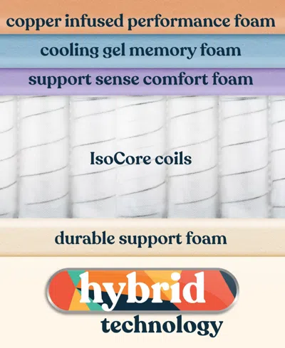 Corsicana Early Bird 10" Medium Mattress In Transparent