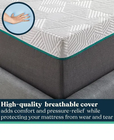 Corsicana Early Bird 12" Medium Mattress In Transparent