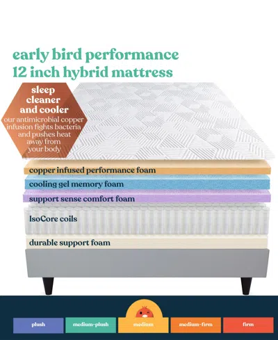 Corsicana Early Bird 12" Medium Mattress In Transparent
