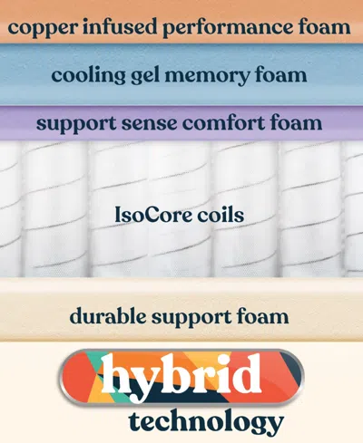 Corsicana Early Bird 12" Medium Mattress In Transparent