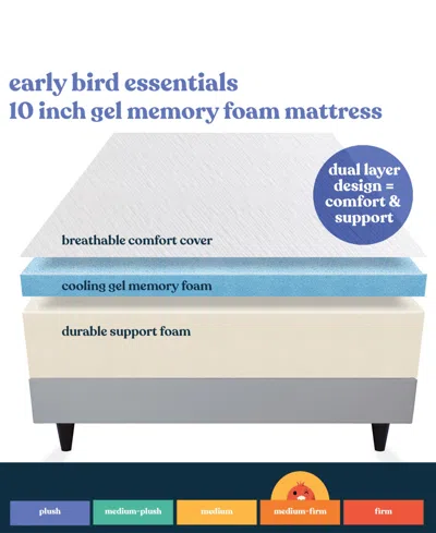 Corsicana Early Bird 6" Medium Mattress In A Box In Transparent
