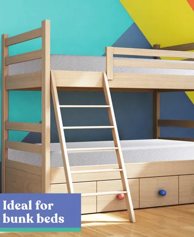 Corsicana Early Bird 6" Medium Mattress In A Box In Transparent