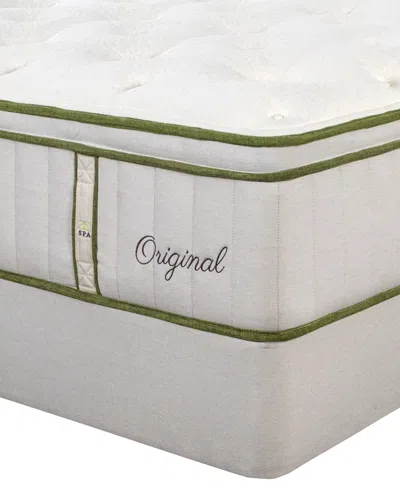 Paramount Nature Spa Oasis 2.0 13" Pillowtop Mattress-full, Created For Macy's In Transparent