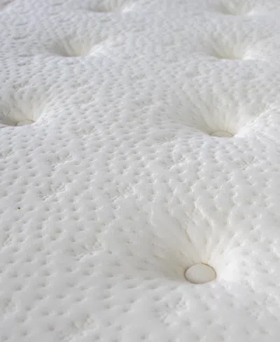 Paramount Nature Spa Jasmine 15" Ultra Plush Eurotop Mattress Set-twin, Created For Macy's In Transparent