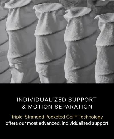 Beautyrest Black Series One 14.25" Firm Pillowtop Mattress Set In Transparent