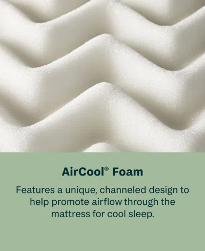 Beautyrest Beautysleep Dream Weaver 14.25" Ultra Plush Pillowtop Mattress In Transparent