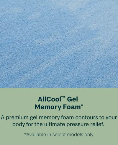 Beautyrest Beautysleep Dream Weaver 14.25" Ultra Plush Pillowtop Mattress In Transparent