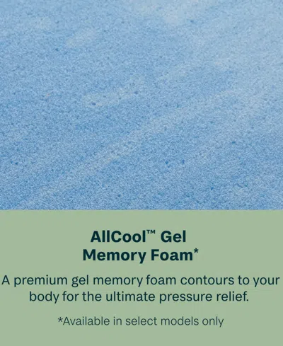 Beautyrest Beautysleep Dream Weaver 14.25" Medium Pillowtop Mattress Set In Transparent