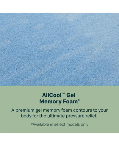 Beautyrest Beautysleep Dream Weaver 11.5" Hybrid Medium Mattress Set In Transparent