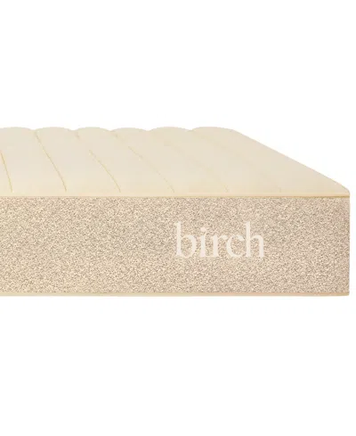 Brooklyn Bedding Birch Natural 11" Cushion Firm Mattress In Transparent
