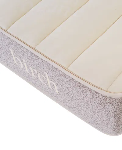 Brooklyn Bedding Birch Natural 11" Cushion Firm Mattress In Transparent