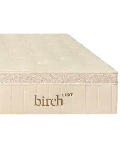 Brooklyn Bedding Birch Luxe Natural 11.5" Cushion Firm Mattress In Transparent
