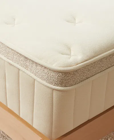 Brooklyn Bedding Birch Luxe Natural 11.5" Cushion Firm Mattress In Transparent