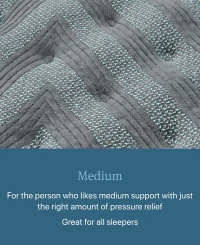 Beautyrest Level One 12.5" Medium Tight Top Mattress In Transparent