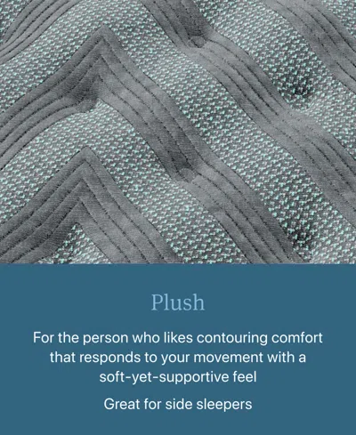 Beautyrest Level One 13.75" Plush Tight Top Mattress In Transparent