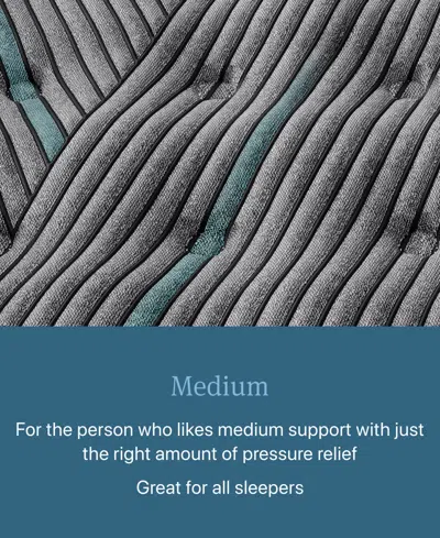 Beautyrest Level Two 14" Medium Tight Top Mattress In Transparent