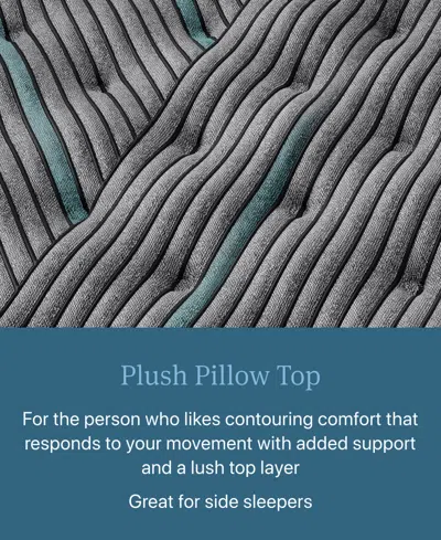 Beautyrest Level Two 14.75" Plush Pillow Top Mattress In Transparent