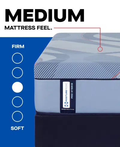 Sealy Posturepedic Hybrid Lynden 13" Medium Tight Top Mattress In Transparent