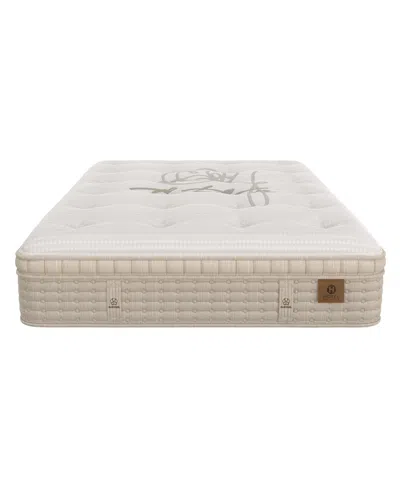 Hotel Natural Collection By King Koil Violet 16" Plush Euro Top Mattress, Twin Xl, Exclusively At Macy's In Transparent