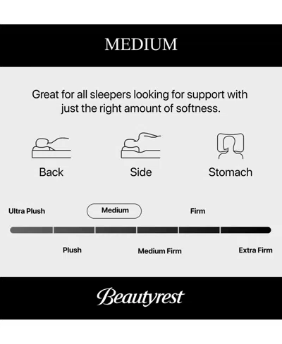 Beautyrest Closeout!  Pampered Nights 13.75" Medium Pillow-top Mattress In Transparent