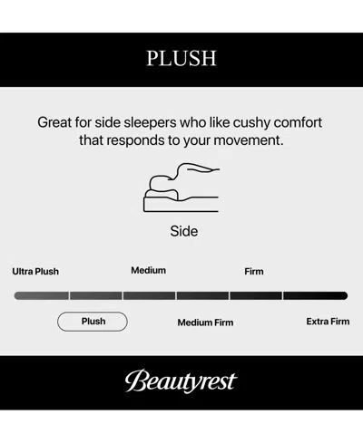 Beautyrest Closeout!  Pampered Nights 13.75" Plush Pillow-top Mattress In Transparent