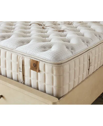Hotel Natural Collection By King Koil Lotus 16" Trim Line Firm Mattress Set, Queen, Exclusively At Macy's In Transparent